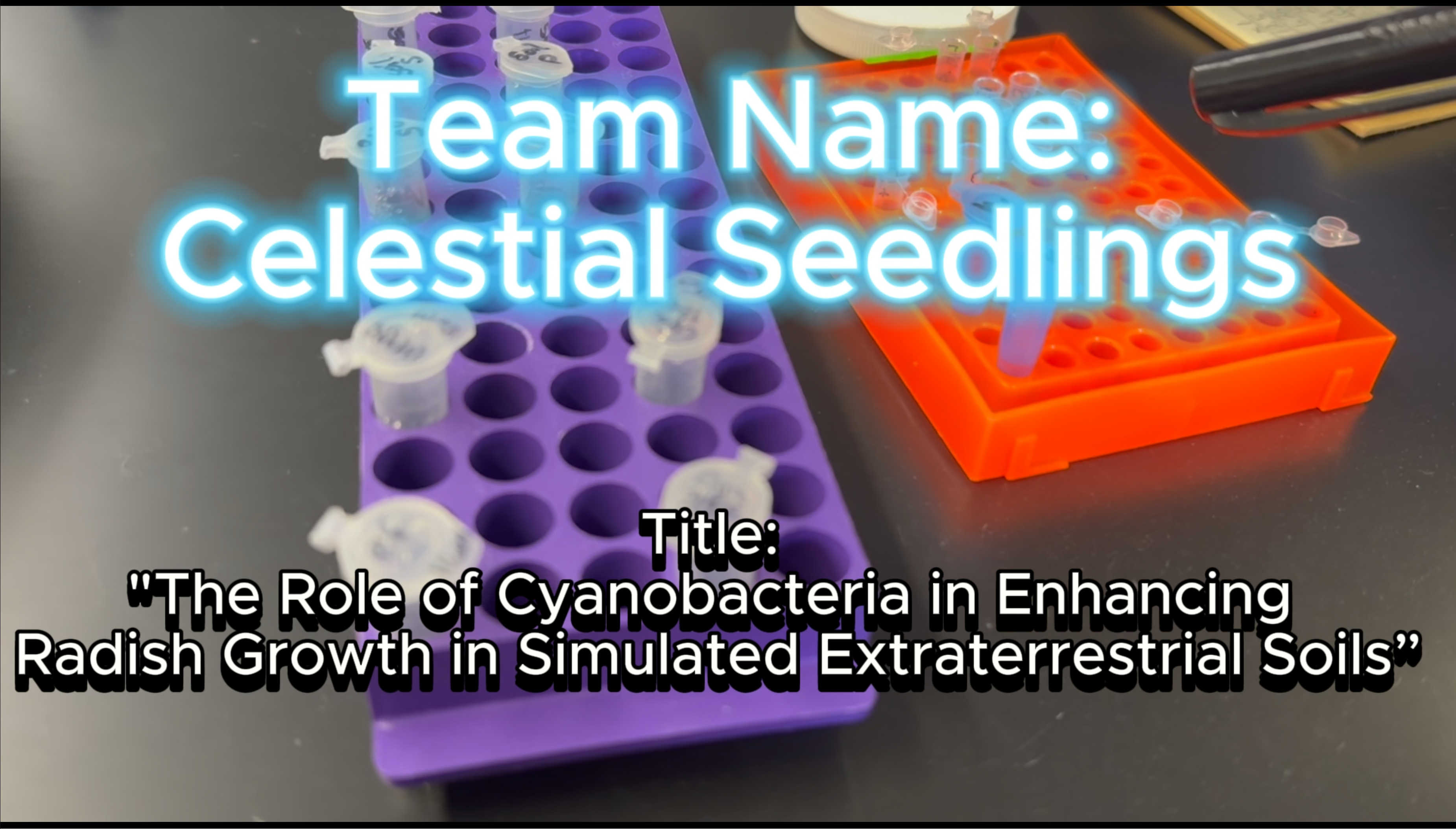 Plant the Moon video thumbnail